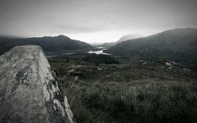 Advanced Cardiac Life Support (ACLS)